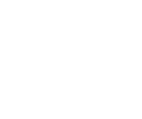 Pin Telecom